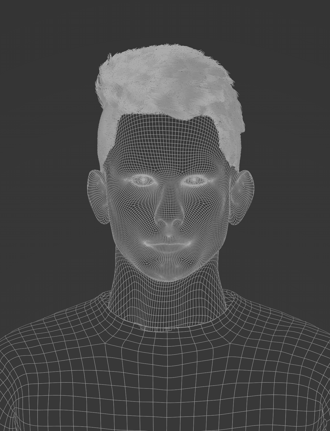Detailed 3D wireframe model of a person's head and upper torso, with geometric mesh defining the body and natural-looking hair.
