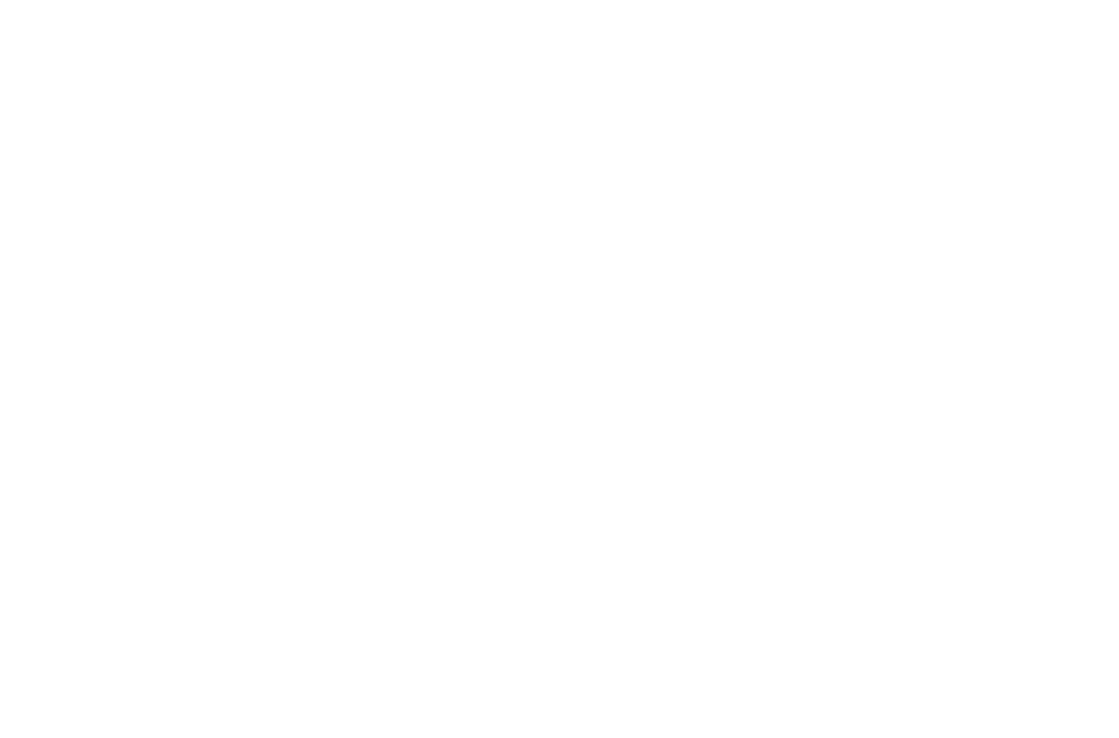 White 'Fit PHX' logo featuring a stylized phoenix graphic and a dumbbell for the letter H.